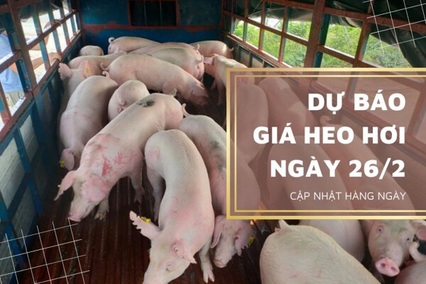 Có thể tiếp tục giảm trong thời gian tới
