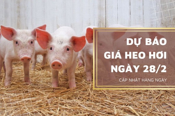 Xu hướng giảm vẫn chưa có dấu hiệu dừng lại