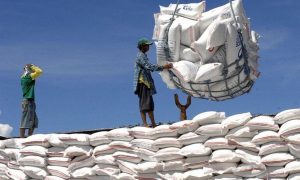 Biểu thuế nhập khẩu ưu đãi đặc biệt Việt Nam - Campuchia giai đoạn 2025