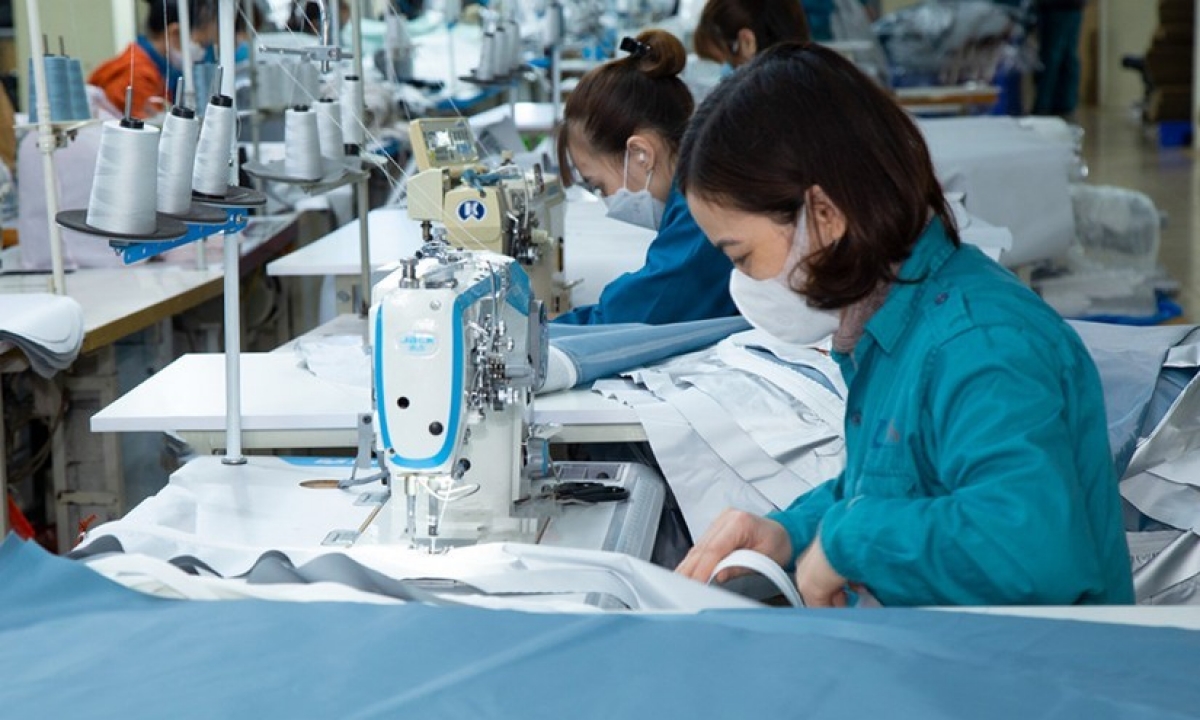 Gilimex lãi lớn quý 4/2025, bù trọn khoản lỗ 9 tháng