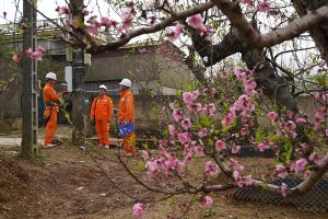 Lịch cúp điện Vĩnh Long tuần này (từ 16/2 đến 22/2) ghi nhận không mất điện diện rộng trong dịp Tết