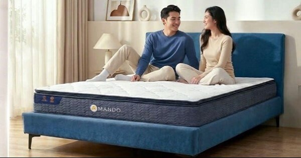 Nên mua nệm ở đâu uy tín, chất lượng và phù
hợp nhu cầu?