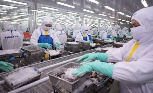 Sao Ta có tổng giám đốc mới, cổ phiếu tăng trần 2 phiên