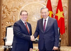 Việt Nam luôn đoàn kết, ủng hộ và sát cánh cùng Cuba