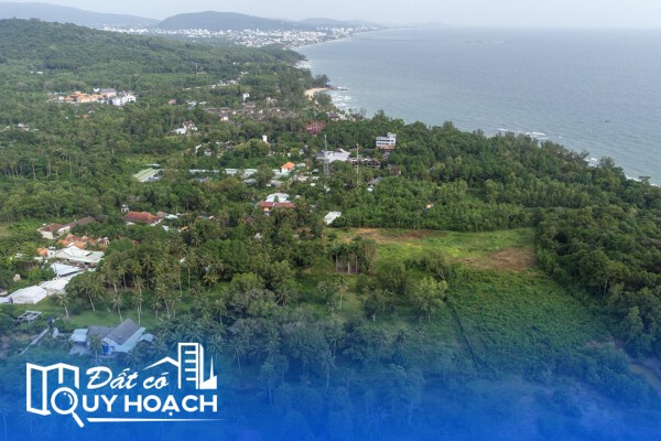 Một nhóm doanh nghiệp in ấn