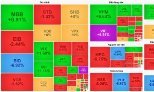 Vingroup tỏa sáng gánh thị trường, VN-Index tránh một phiên giảm sâu